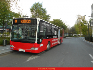 Bus de la ligne A du réeau STBC