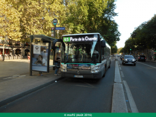 Citelis 12 à diodes blanches sur le 65
