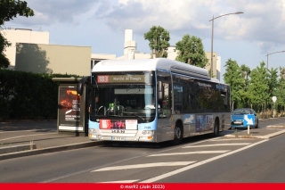 MAN Lion's City GNC n°7420 sur le 183