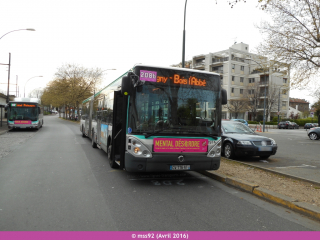 Citelis 18 sur le 208b