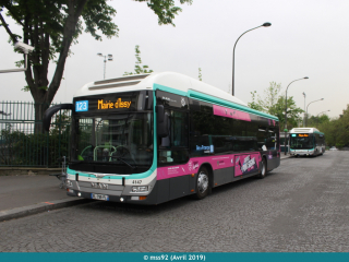 MAN hybride n°4147 sur le 123, pelliculé pour le Stade Français