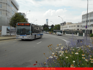 Citaro Facelift sur la ligne 40 de Phébus