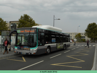 MAN GNC sur le 308